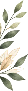 Care Leaves