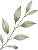 Leaves on Left side